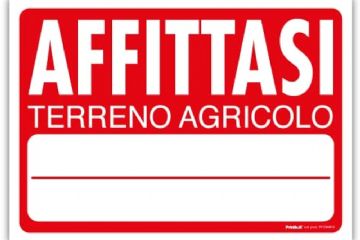 Cartello affittasi