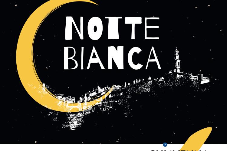 notte bianca montagna luna